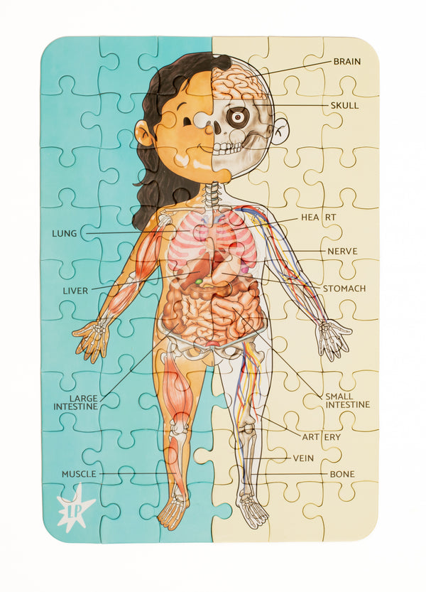 Little Patakha product A Piece A Part jigsaw pieces put together to complete the puzzle showing the internal and external parts of the body